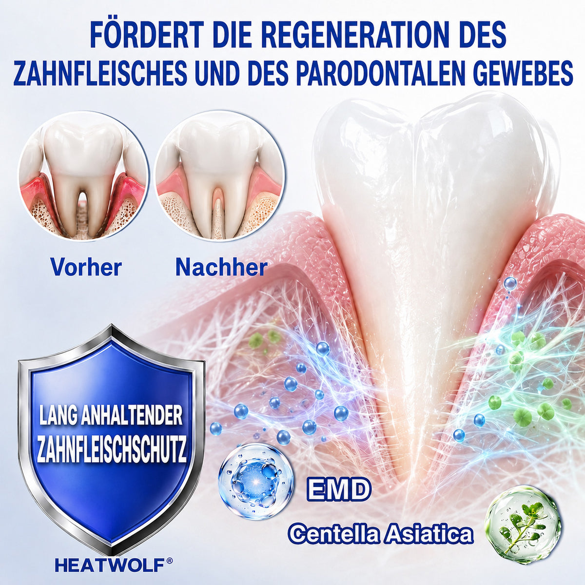 🇩🇪👨‍⚕️🦷🛡️ HEATWOLF® GumRevive – Parodontales Regenerationsgel🐟