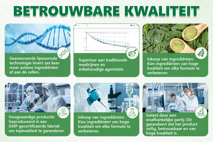 Officiële Winkel | 🎉🎉CureVivo® Moringa · Berberine × NAD+ 10-in-1 Geavanceerde Nano Micronaald Pleister 🇳🇱 (Slechts één keer per dag, zichtbare veranderingen in 7 dagen) ✅ Voor obesitas, slappe huid, diabetes, slaapapneu, gewrichtsproblemen en meer