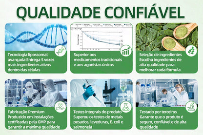 Loja Oficial | 🔥🕹️CureVivo® Moringa · Berberina × NAD+ 10-em-1 Avançado Adesivo de Microneedles 🇵🇹 (Apenas uma vez por dia, mudanças visíveis em 7 dias) ✅ Para obesidade, flacidez da pele, diabetes, apneia do sono, problemas nas articulações e muito mais